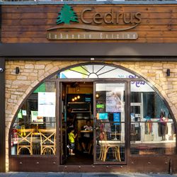 Photo of Cedrus Photo of Cedrus